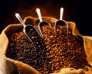 coffee beans pinstor.us