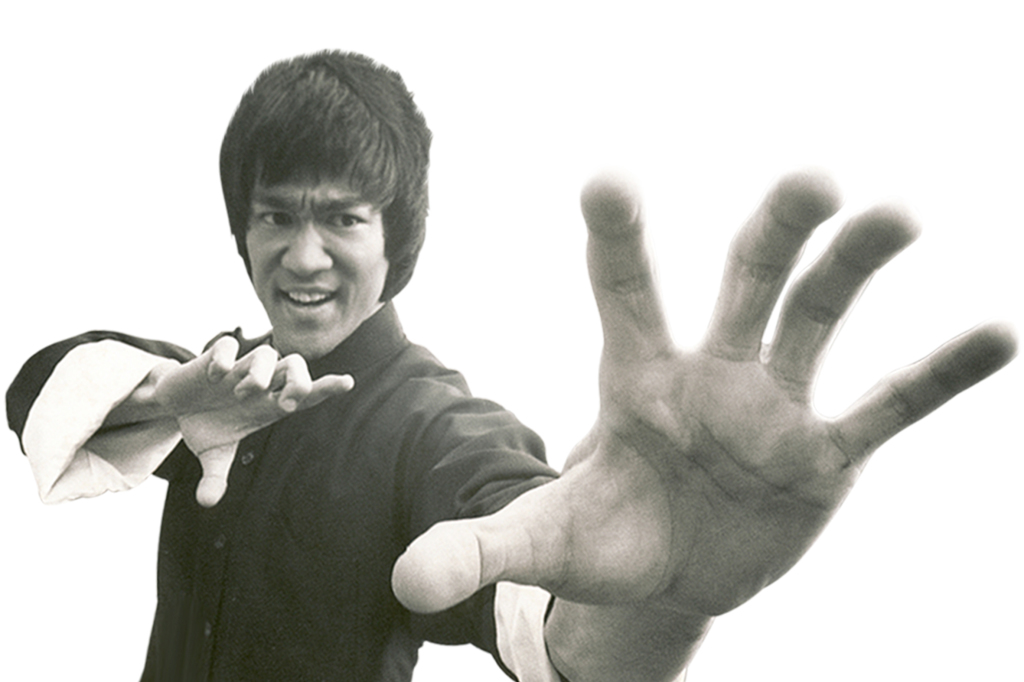 bruce lee the dragon viralcontent